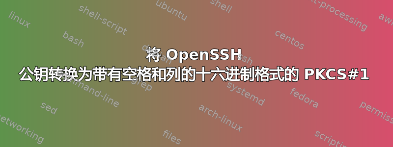 将 OpenSSH 公钥转换为带有空格和列的十六进制格式的 PKCS#1