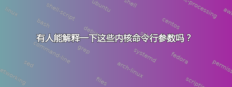 有人能解释一下这些内核命令行参数吗？