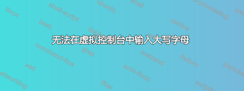 无法在虚拟控制台中输入大写字母