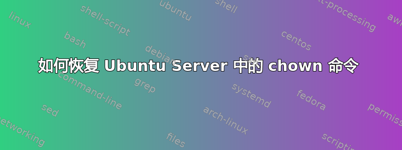 如何恢复 Ubuntu Server 中的 chown 命令