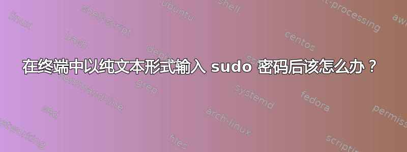 在终端中以纯文本形式输入 sudo 密码后该怎么办？