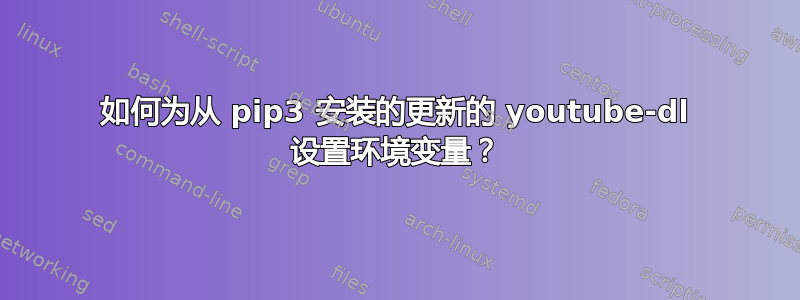 如何为从 pip3 安装的更新的 youtube-dl 设置环境变量？