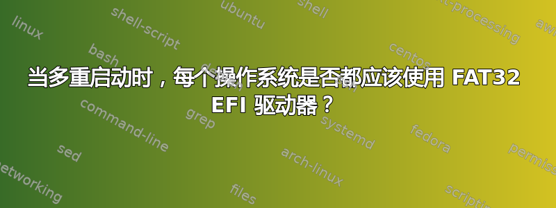 当多重启动时，每个操作系统是否都应该使用 FAT32 EFI 驱动器？