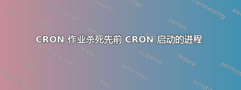 CRON 作业杀死先前 CRON 启动的进程