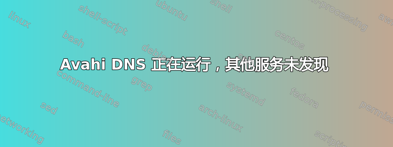 Avahi DNS 正在运行，其他服务未发现