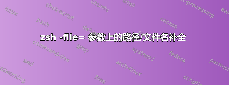 zsh -file= 参数上的路径/文件名补全