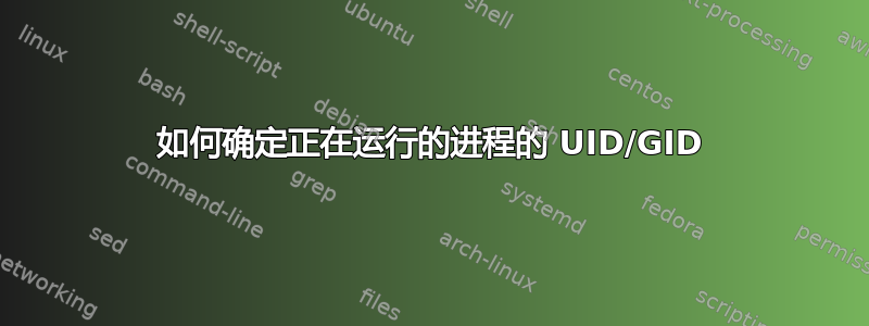 如何确定正在运行的进程的 UID/GID