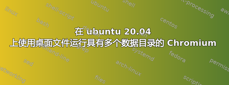 在 ubuntu 20.04 上使用桌面文件运行具有多个数据目录的 Chromium