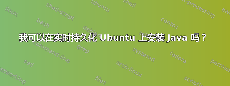 我可以在实时持久化 Ubuntu 上安装 Java 吗？