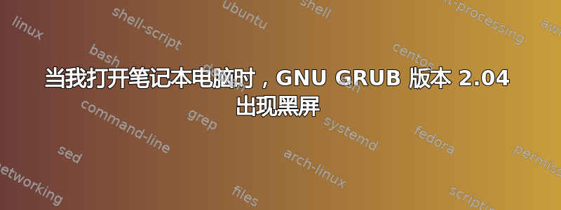 当我打开笔记本电脑时，GNU GRUB 版本 2.04 出现黑屏