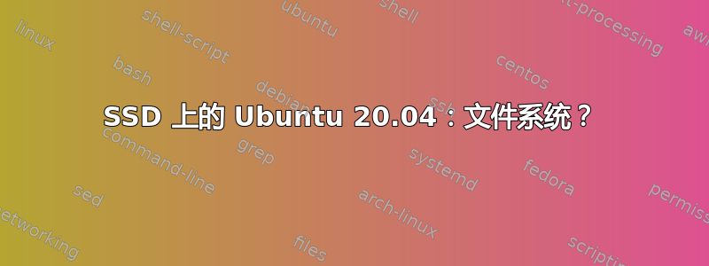 SSD 上的 Ubuntu 20.04：文件系统？