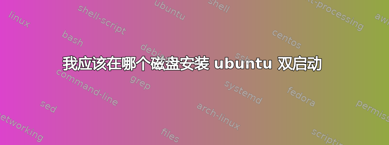 我应该在哪个磁盘安装 ubuntu 双启动