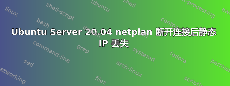 Ubuntu Server 20.04 netplan 断开连接后静态 IP 丢失