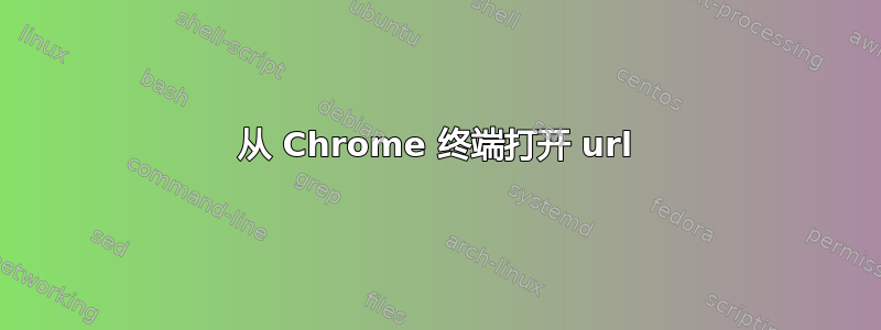 从 Chrome 终端打开 url