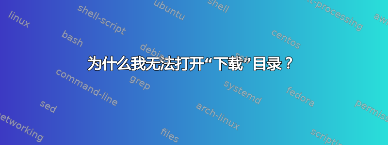 为什么我无法打开“下载”目录？