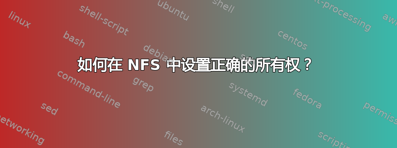 如何在 NFS 中设置正确的所有权？