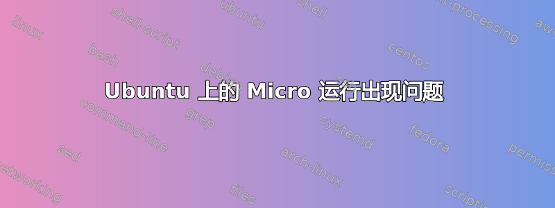 Ubuntu 上的 Micro 运行出现问题