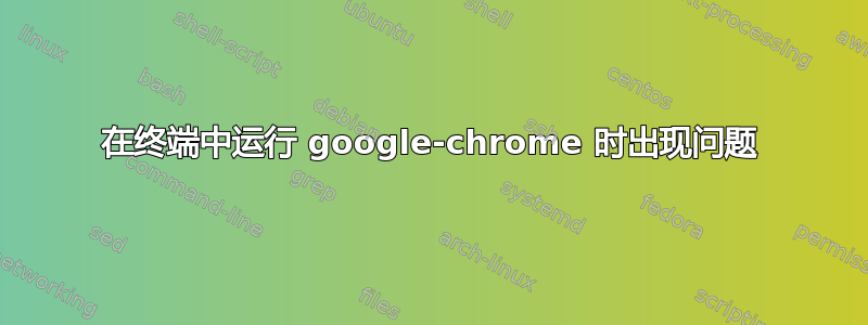 在终端中运行 google-chrome 时出现问题