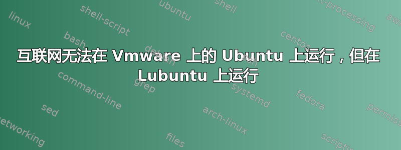 互联网无法在 Vmware 上的 Ubuntu 上运行，但在 Lubuntu 上运行