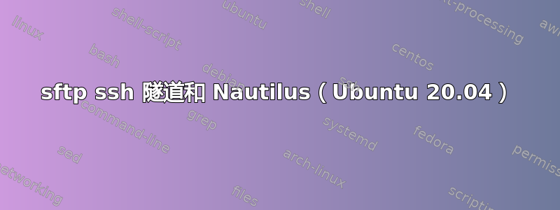 sftp ssh 隧道和 Nautilus（Ubuntu 20.04）