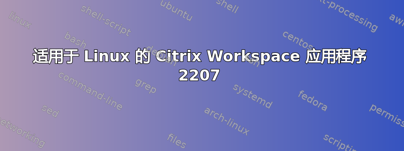 适用于 Linux 的 Citrix Workspace 应用程序 2207