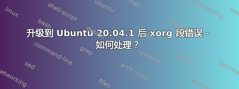 升级到 Ubuntu 20.04.1 后 xorg 段错误 - 如何处理？