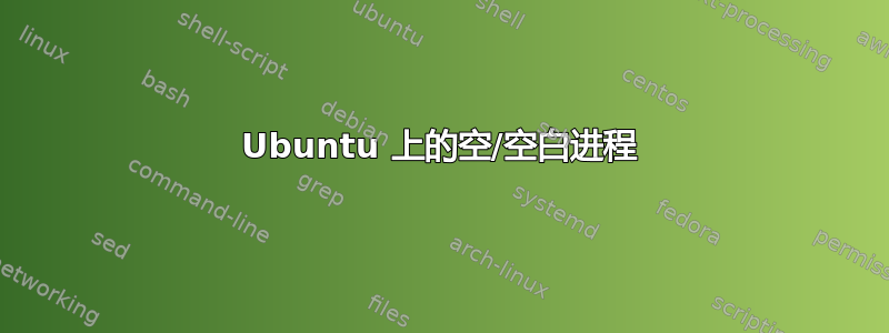 Ubuntu 上的空/空白进程