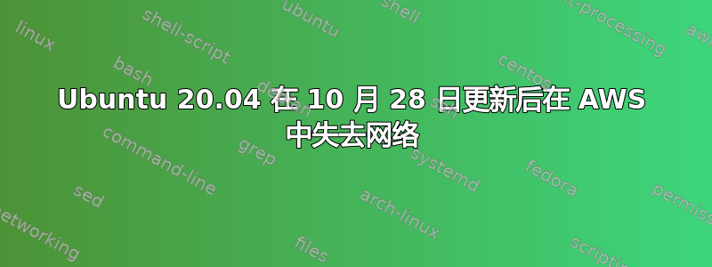 Ubuntu 20.04 在 10 月 28 日更新后在 AWS 中失去网络