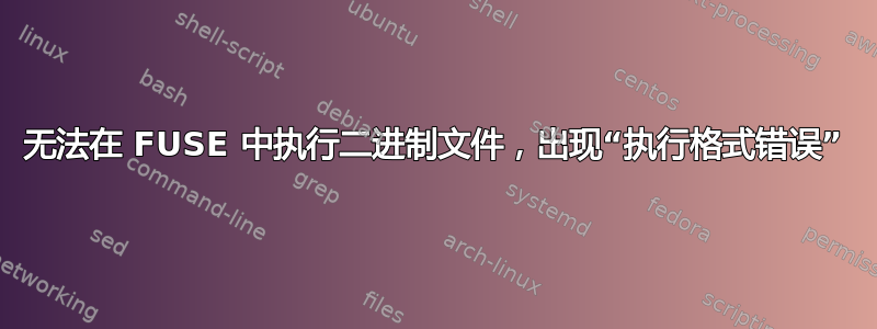 无法在 FUSE 中执行二进制文件，出现“执行格式错误”