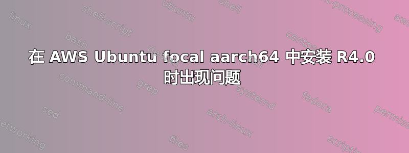 在 AWS Ubuntu focal aarch64 中安装 R4.0 时出现问题