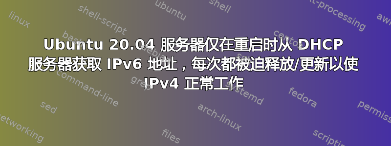 Ubuntu 20.04 服务器仅在重启时从 DHCP 服务器获取 IPv6 地址，每次都被迫释放/更新以使 IPv4 正常工作