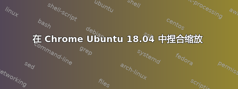 在 Chrome Ubuntu 18.04 中捏合缩放