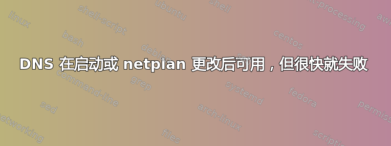 DNS 在启动或 netplan 更改后可用，但很快就失败