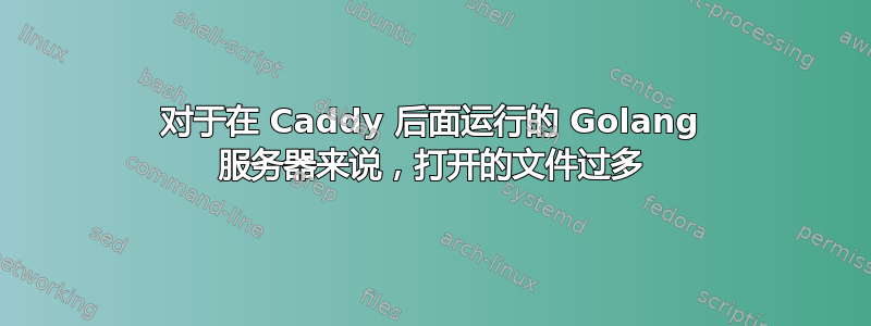 对于在 Caddy 后面运行的 Golang 服务器来说，打开的文件过多