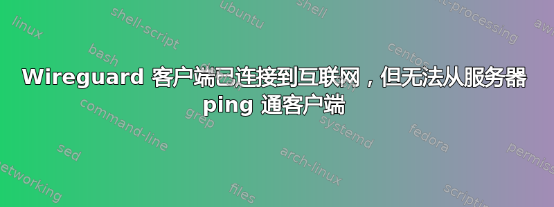 Wireguard 客户端已连接到互联网，但无法从服务器 ping 通客户端