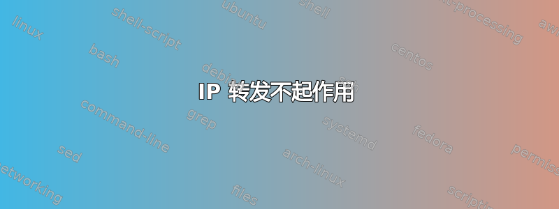 IP 转发不起作用