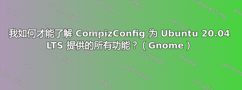 我如何才能了解 CompizConfig 为 Ubuntu 20.04 LTS 提供的所有功能？（Gnome）