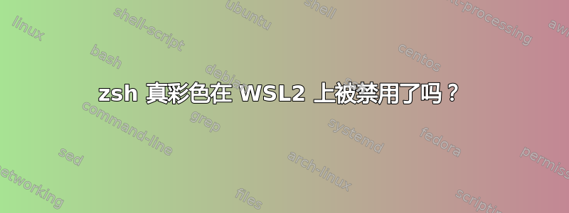 zsh 真彩色在 WSL2 上被禁用了吗？