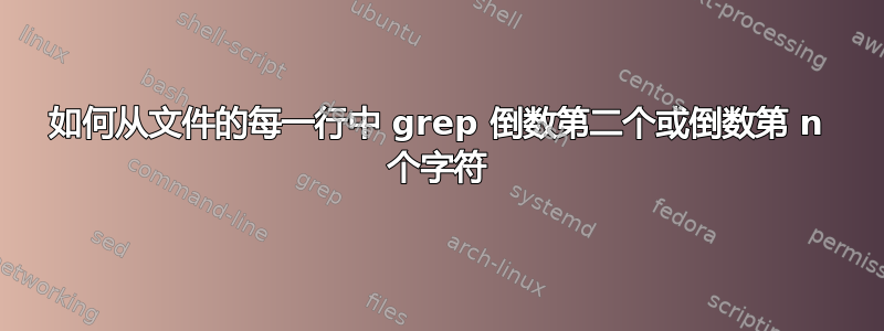 如何从文件的每一行中 grep 倒数第二个或倒数第 n 个字符