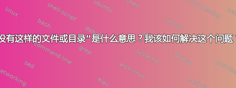 “没有这样的文件或目录”是什么意思？我该如何解决这个问题？