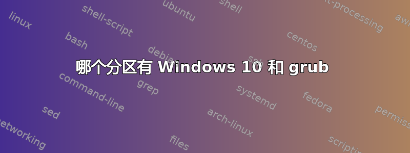 哪个分区有 Windows 10 和 grub