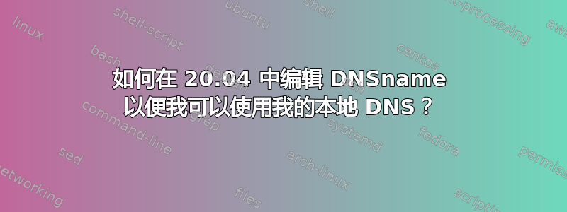 如何在 20.04 中编辑 DNSname 以便我可以使用我的本地 DNS？