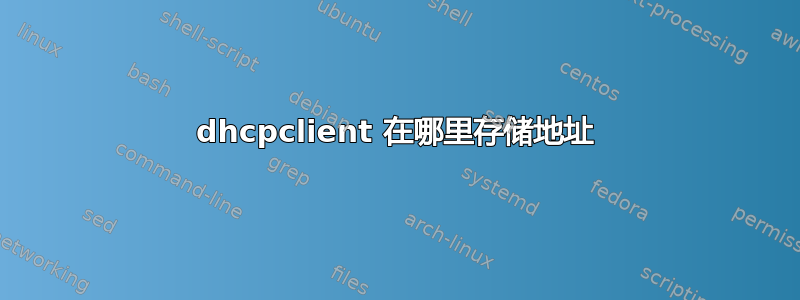 dhcpclient 在哪里存储地址