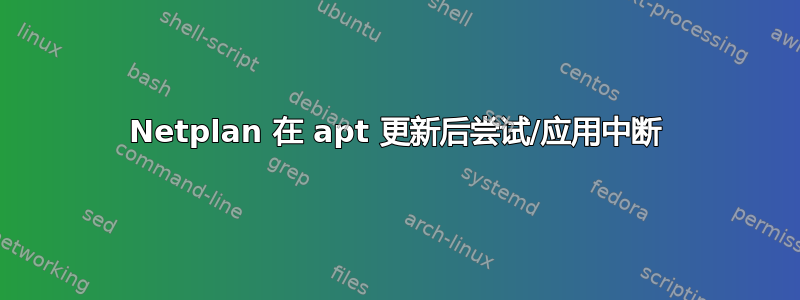 Netplan 在 apt 更新后尝试/应用中断