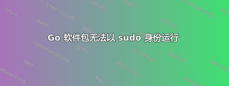 Go 软件包无法以 sudo 身份运行