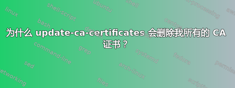 为什么 update-ca-certificates 会删除我所有的 CA 证书？