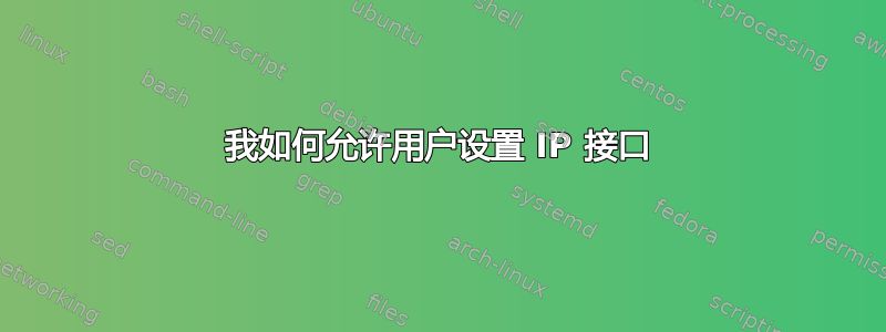 我如何允许用户设置 IP 接口