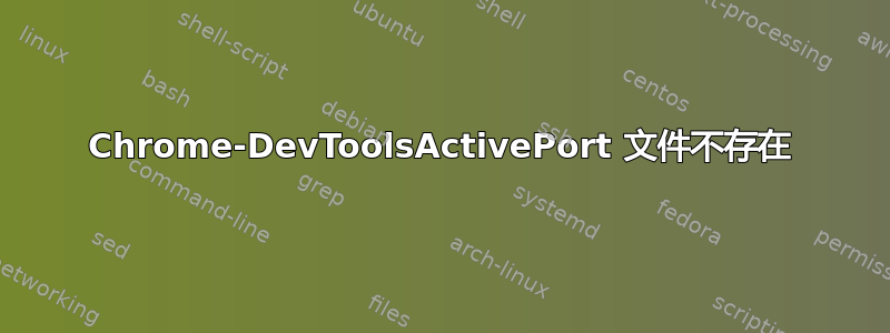 Chrome-DevToolsActivePort 文件不存在