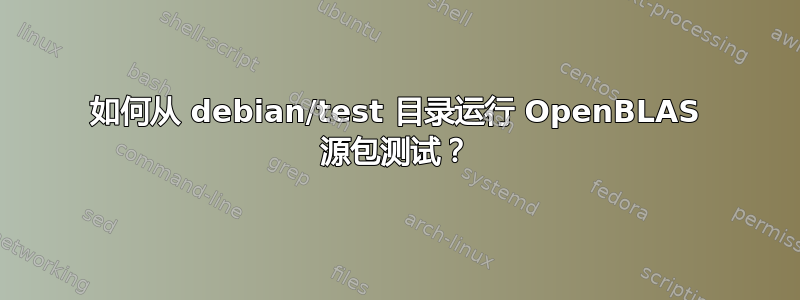 如何从 debian/test 目录运行 OpenBLAS 源包测试？