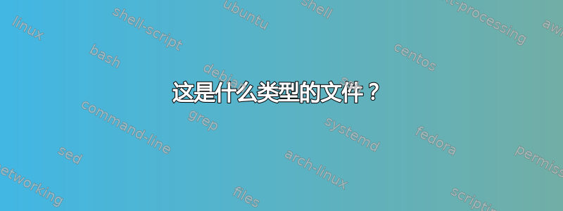 这是什么类型的文件？